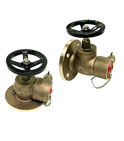 Screw / Flange Inlet Globe Pattern Hydrant Valves